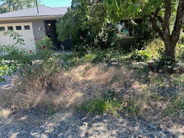 A house with a lot of weeds and grass in front of it.