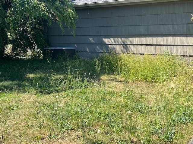 A backyard with a lot of grass and weeds in front of a house.