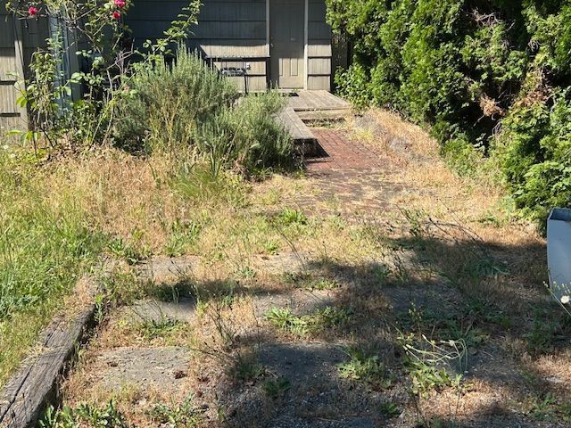 A dirt path leading to a house surrounded by trees and grass.