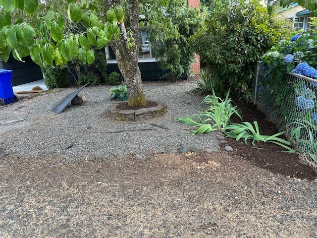 There is a tree in the middle of the yard.