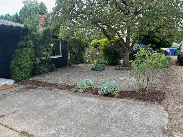A black house with a lot of trees in front of it.