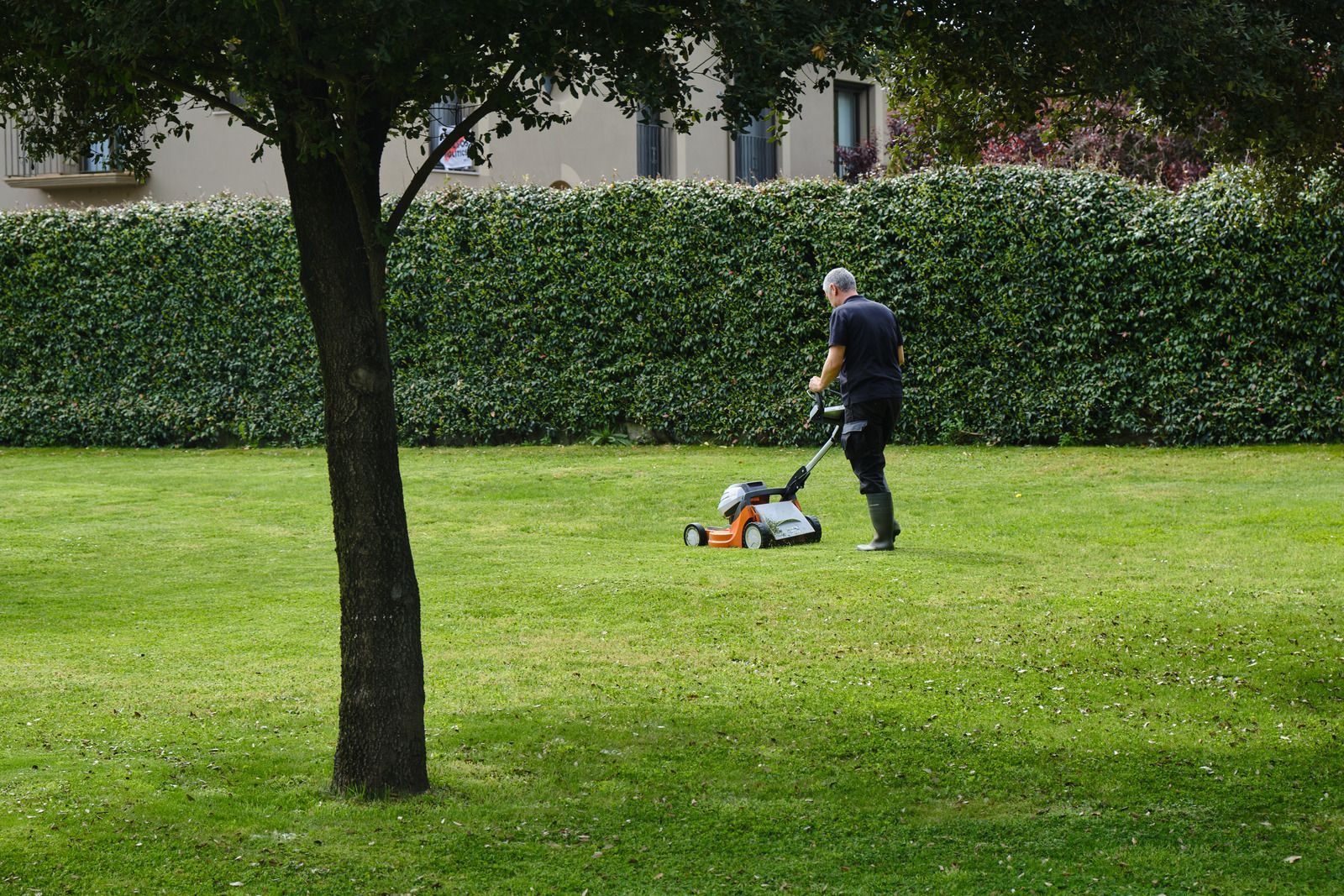 A man is mowing a lush green lawn in a park.