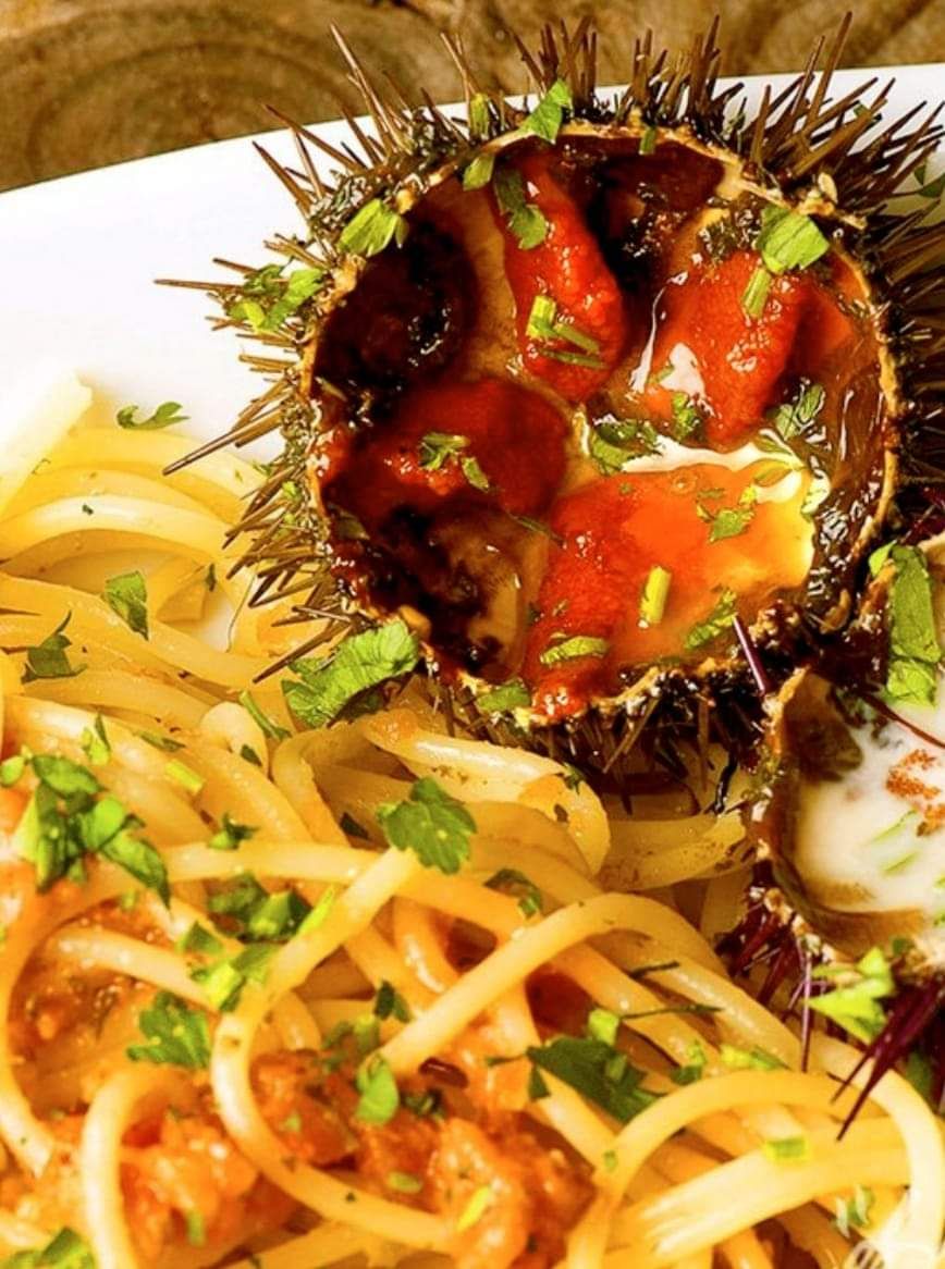 spaghetti con ricci di mare