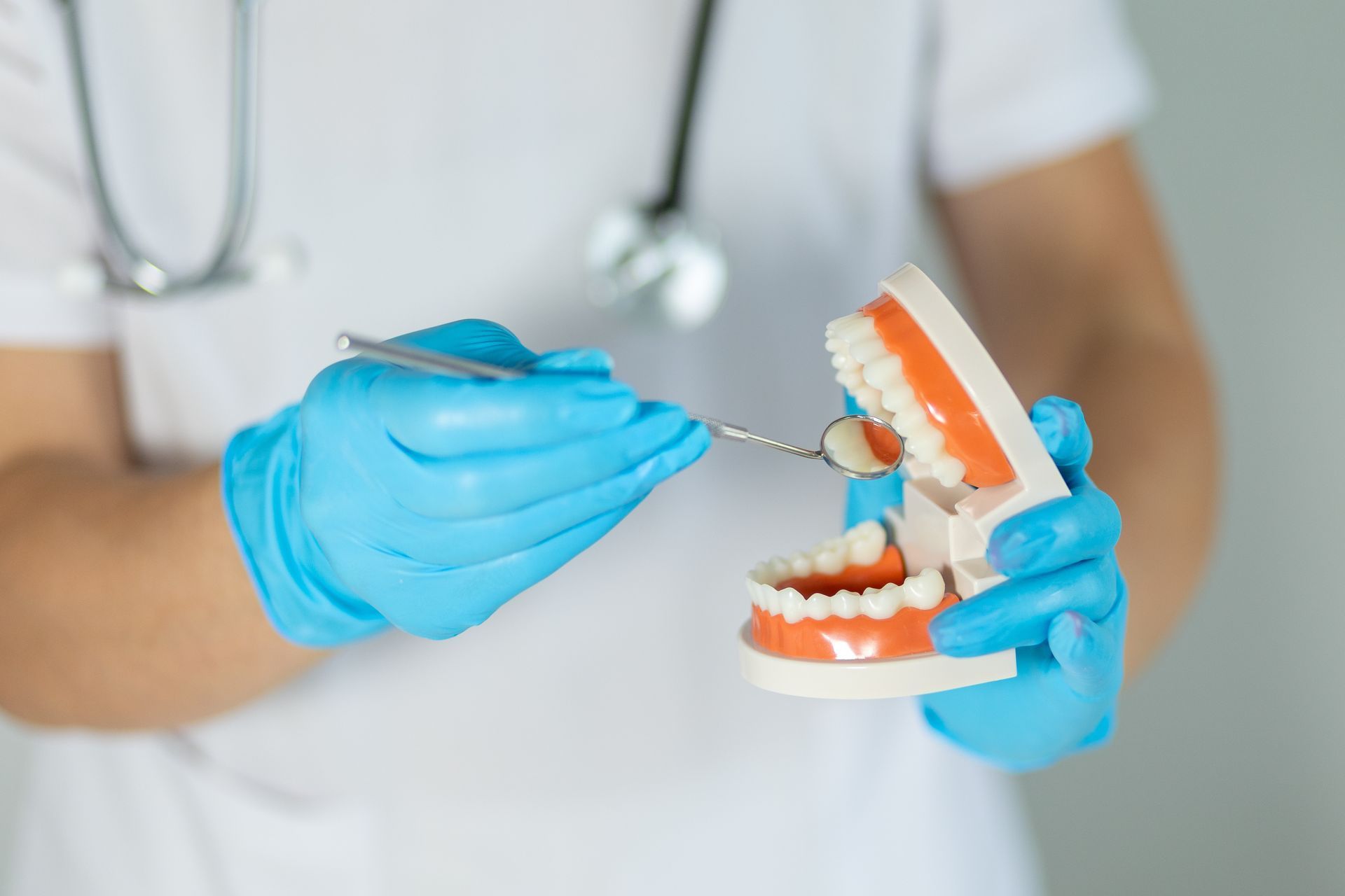 Dentist holding dental tools, examining a model of teeth, wearing blue gloves.