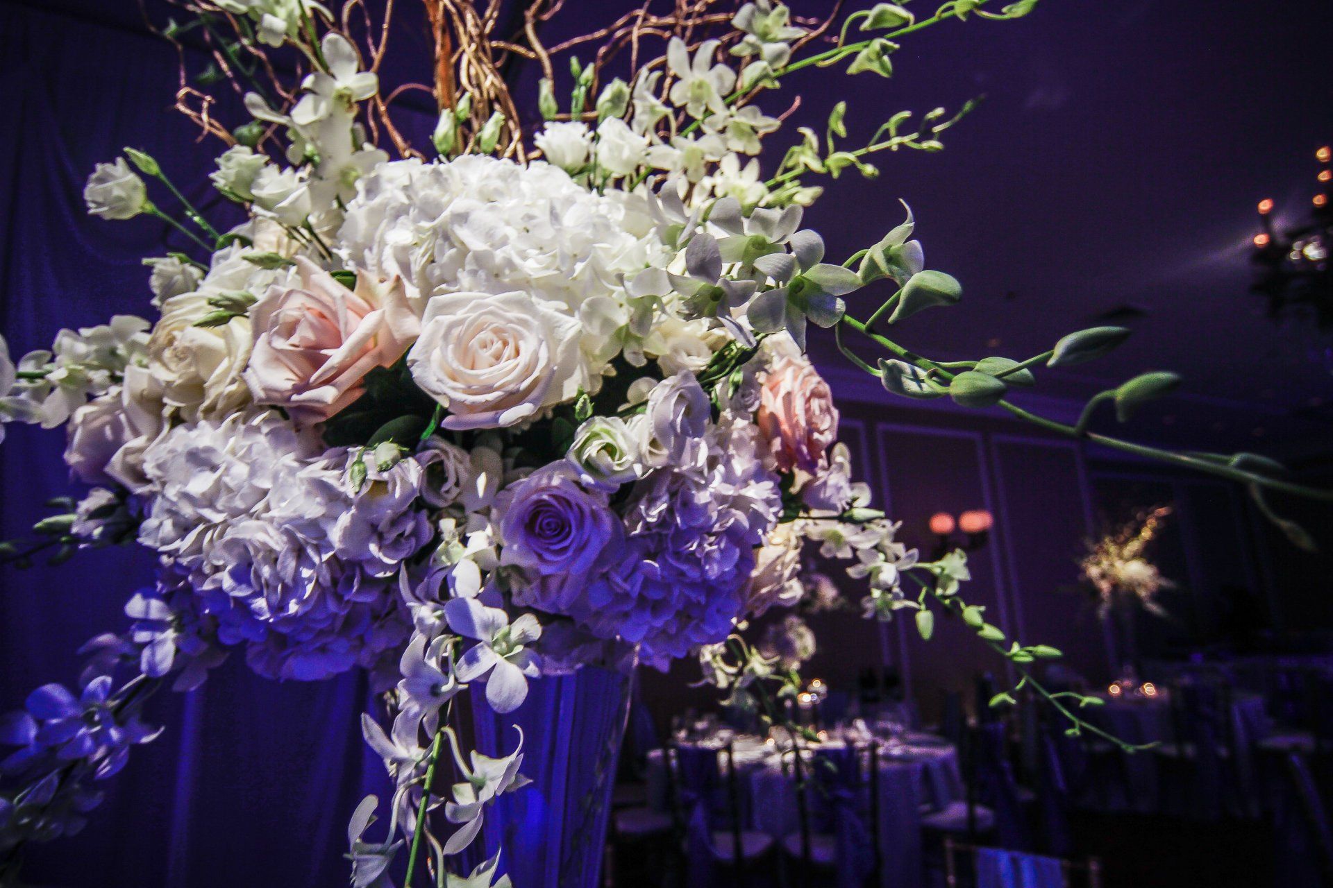 A vase filled with white flowers is sitting on a table in a dark room.