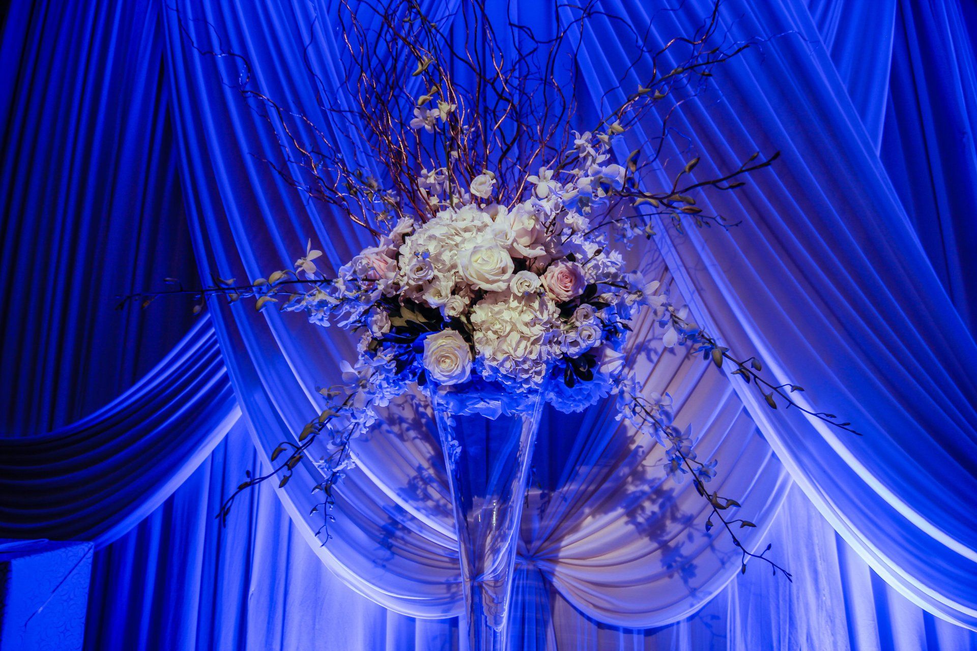 A vase filled with flowers is sitting in front of a blue curtain.