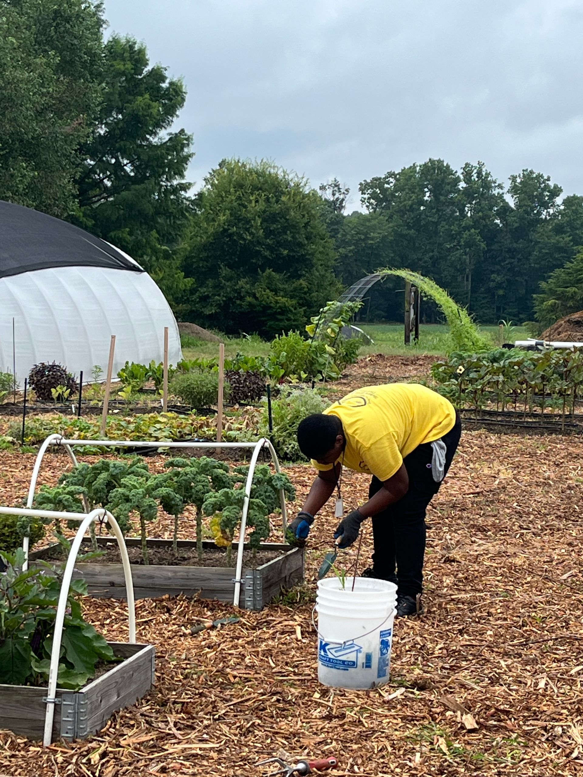 Youth at work