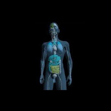EIS body scan