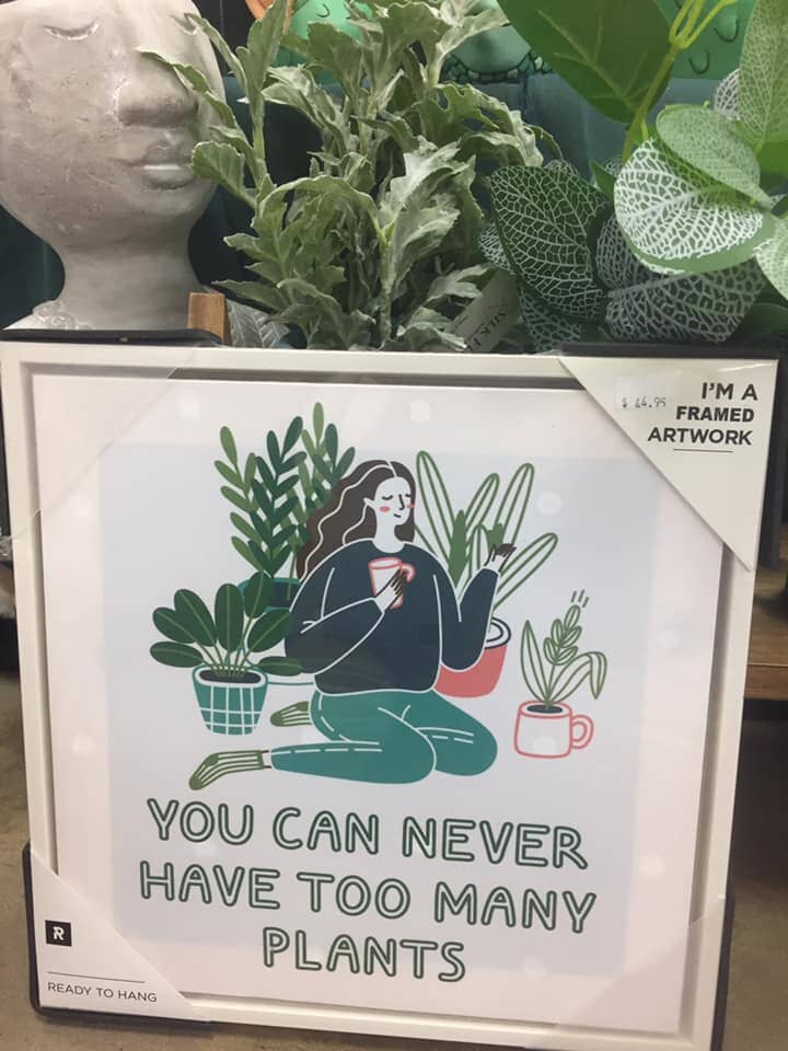 Plant Framed Artwork — Gifts And Flowers In Blackwater, QLD