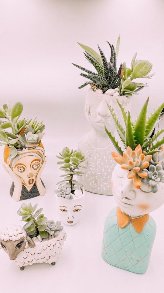 Plants With Unique Vase — Gifts And Flowers In Blackwater, QLD