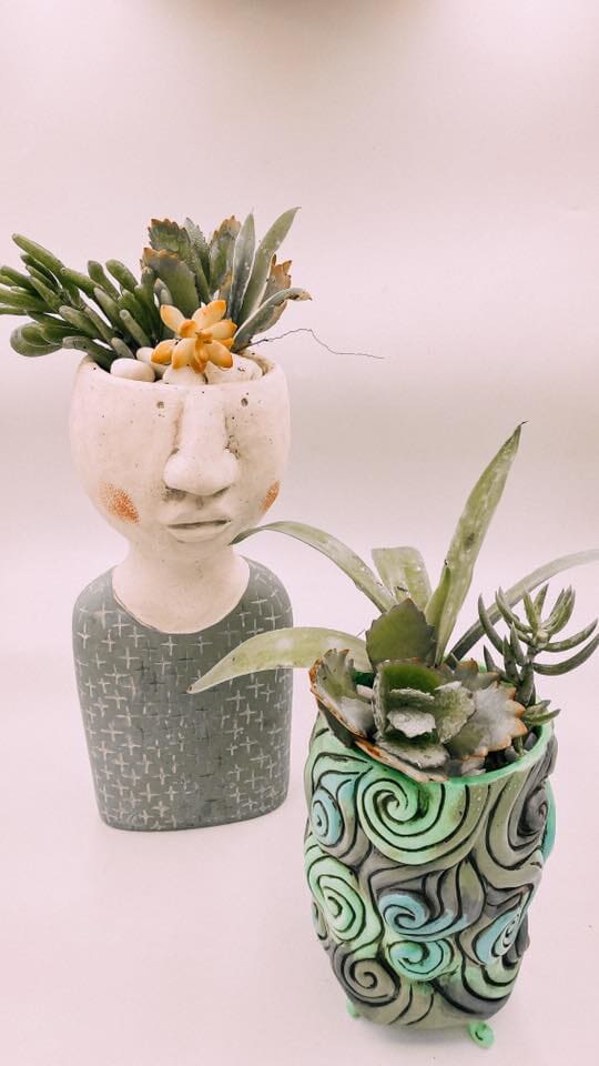 Plants With Vase — Gifts And Flowers In Blackwater, QLD