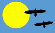 Icarus Skin Cancer Clinic