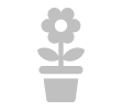 Flower pot icon