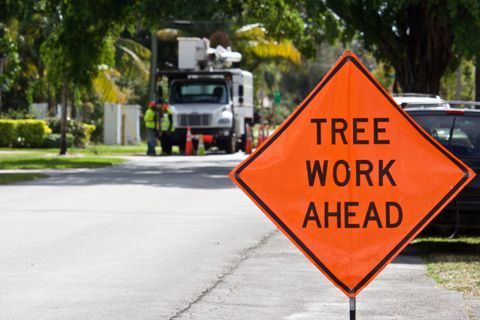 A Tree Work Ahead Sign – Lake Charles, LA – McCutcheon Tree Service