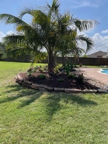 A palm tree is in the middle of a lush green lawn next to a pool.