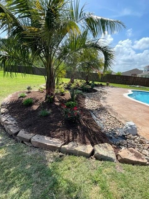A palm tree is in the middle of a garden next to a pool.
