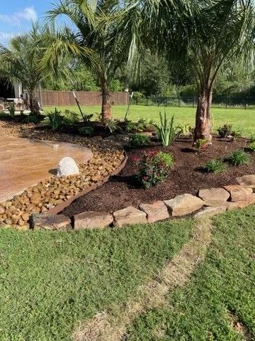 A lush green lawn with palm trees and rocks in a backyard.