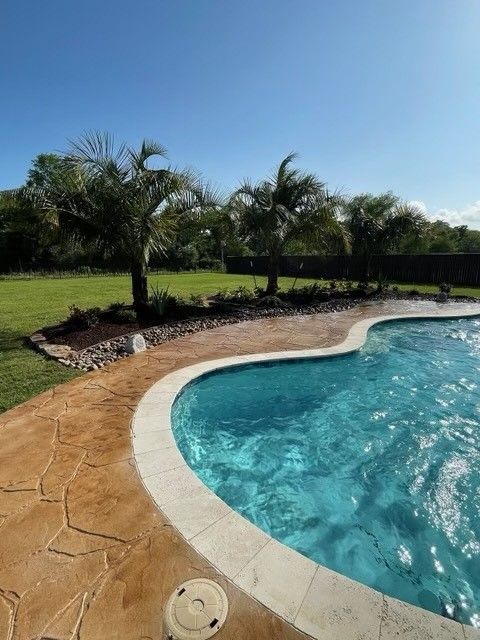 A large swimming pool with palm trees in the background