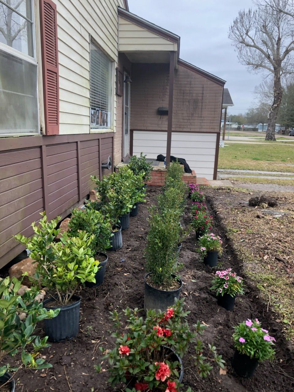 Tree Trimming — JR Flores Landscape Services in Highlands, TX