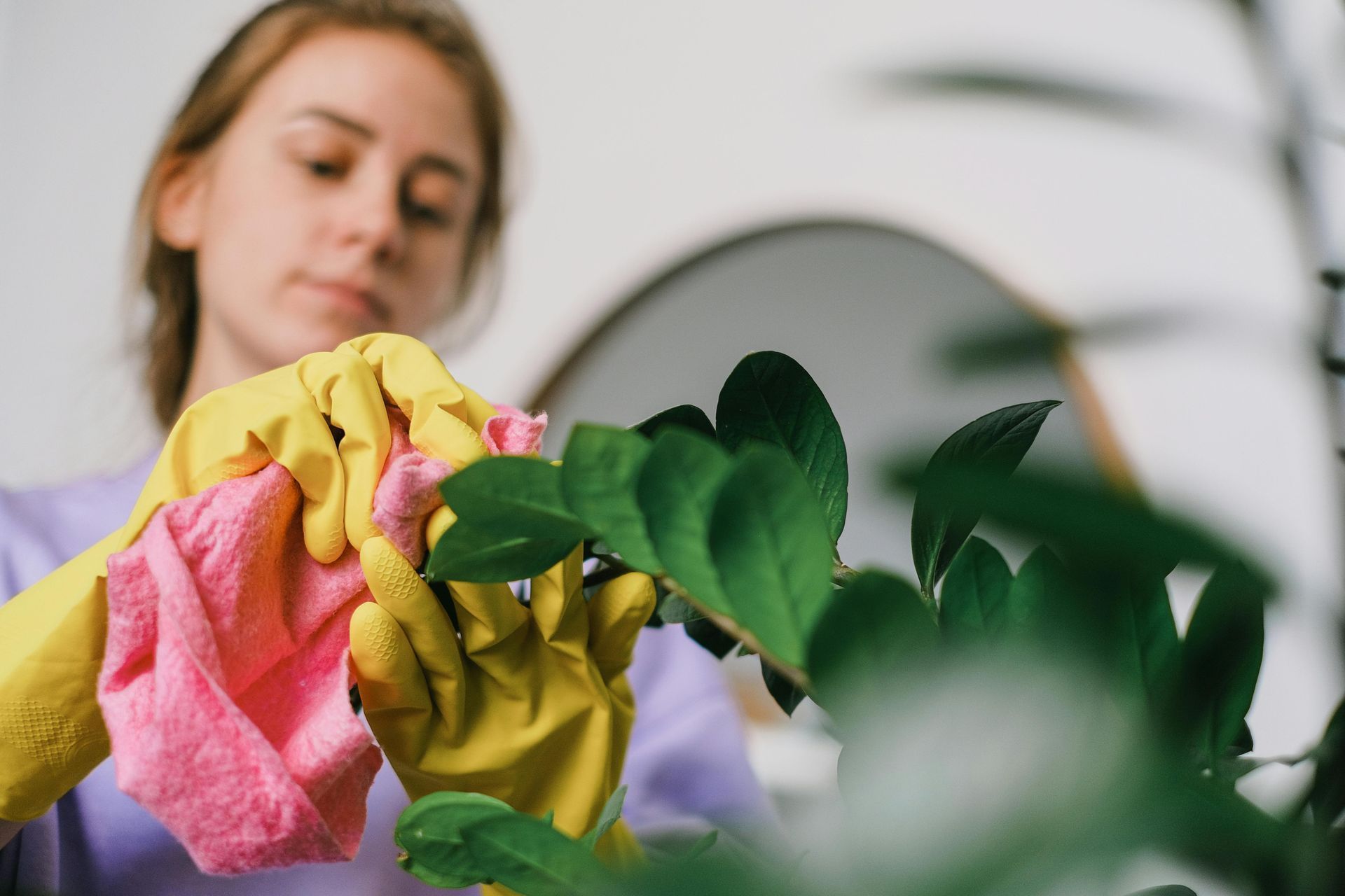 A woman is cleaning a plant with a towel and gloves.