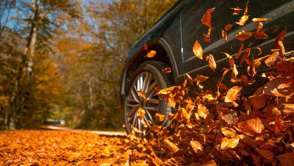 Car driving through fallen autumn leaves on a road; trees in background, orange and yellow hues. | Dave's Automotive LLC