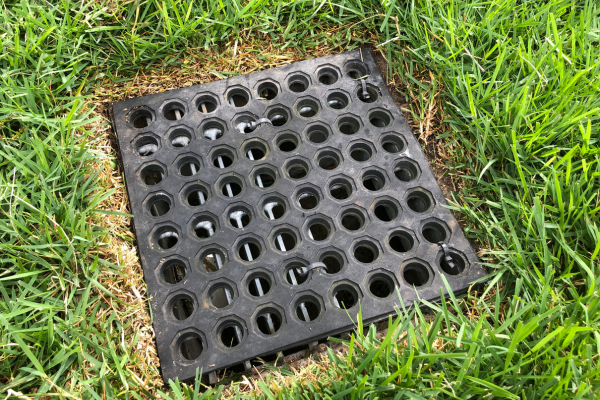 Black, perforated drain cover in a square grassy area.