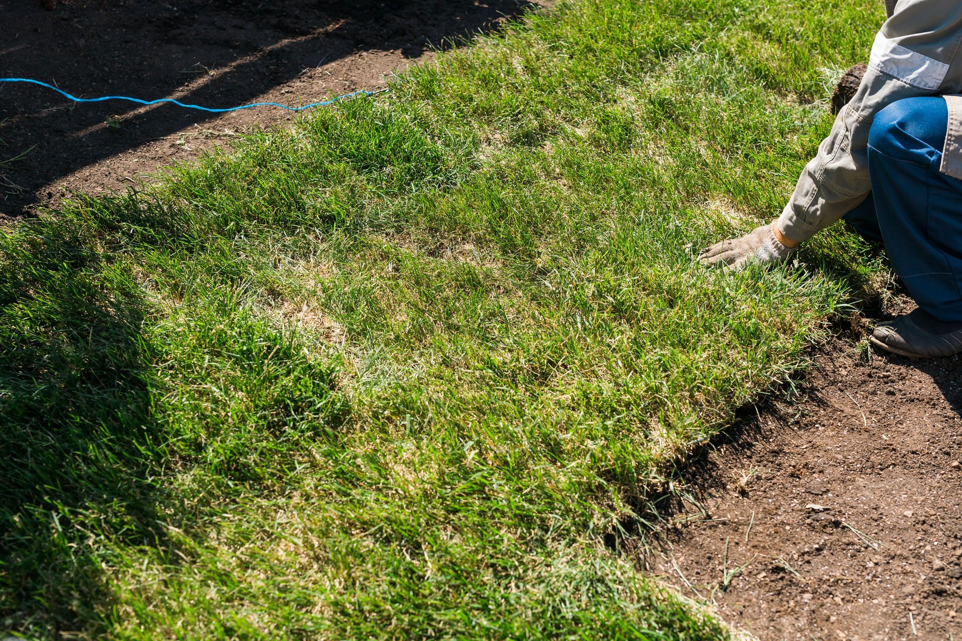 Georgetown sod installation with irrigation setup