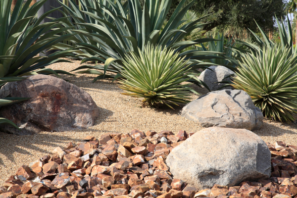 Desert landscape with spiky green plants, large rocks, and tan and brown gravel.