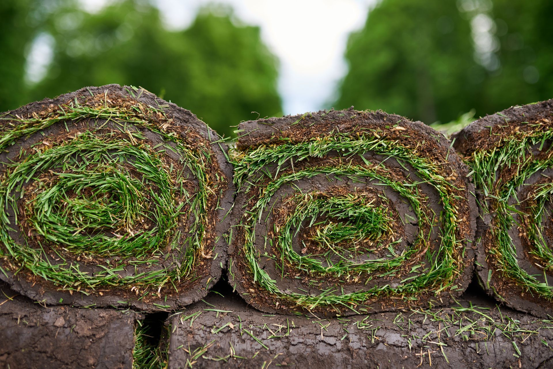 Rolls of sod, green grass and dark soil, stacked outdoors.