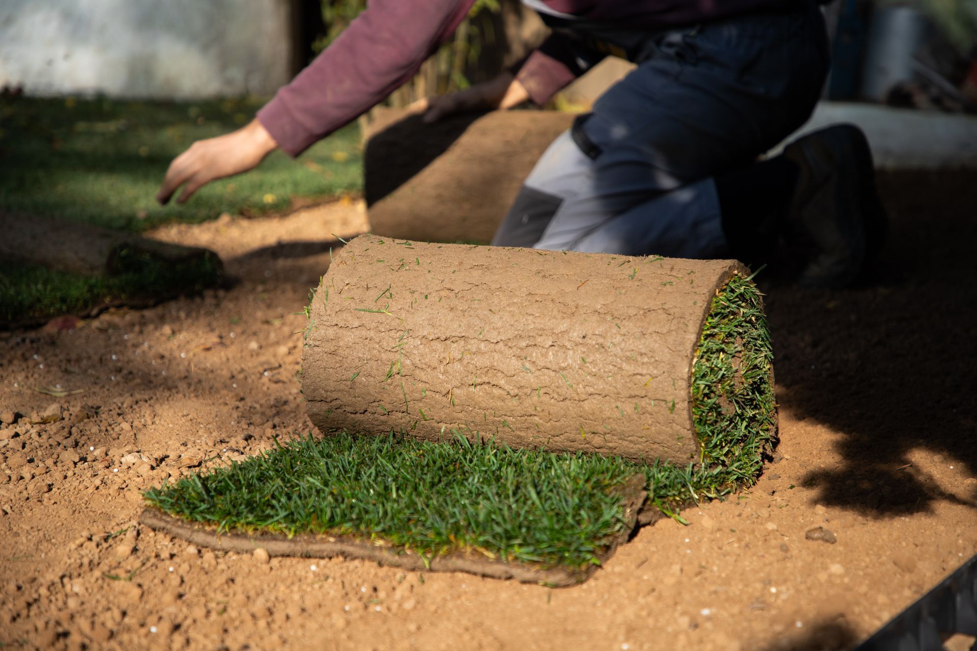 Sod installation in Round Rock with soil preparation