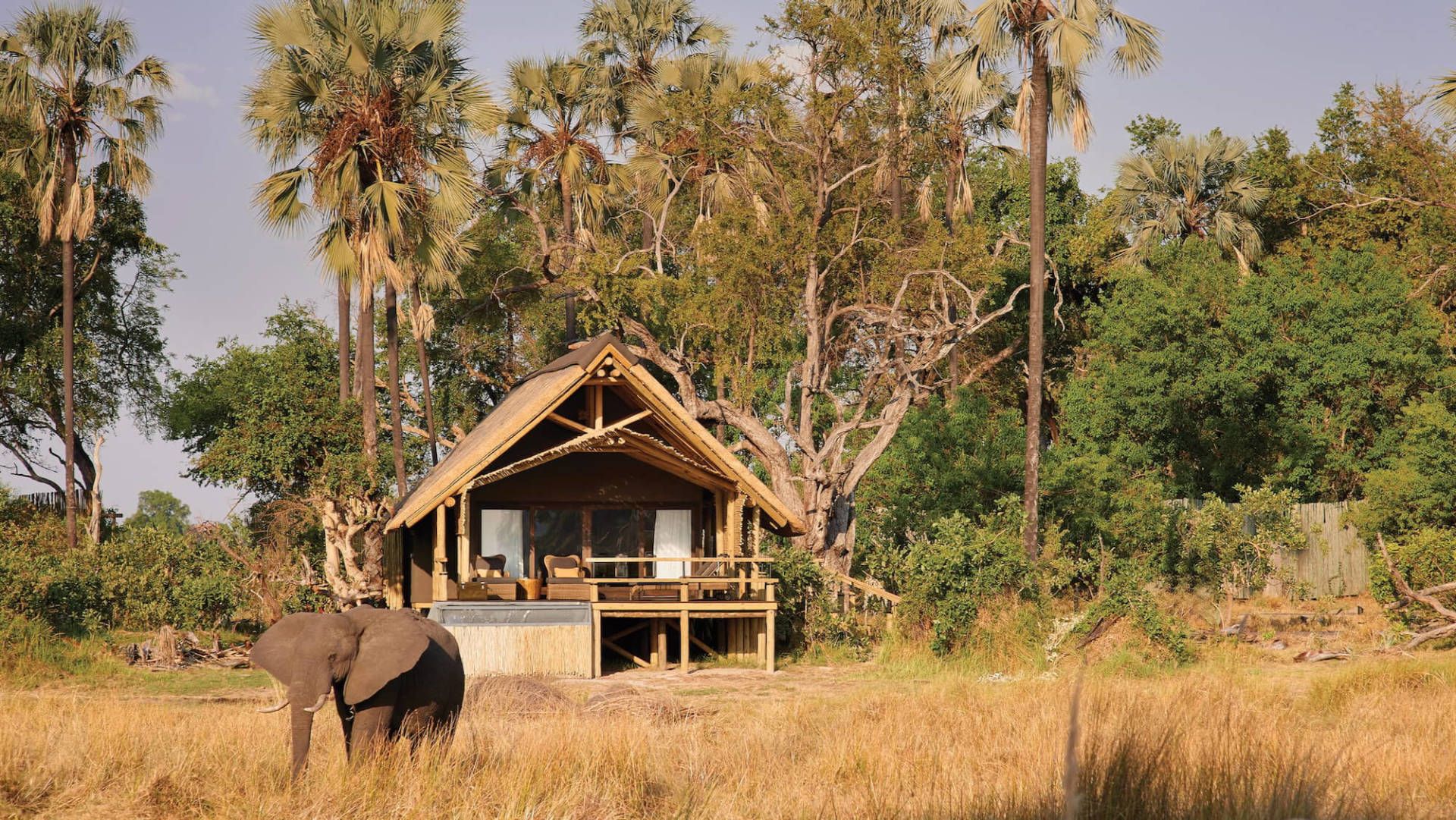 Belmond Eagle Island Lodge - Bedroom View Botswana - eXplore Plus Travel and Tours