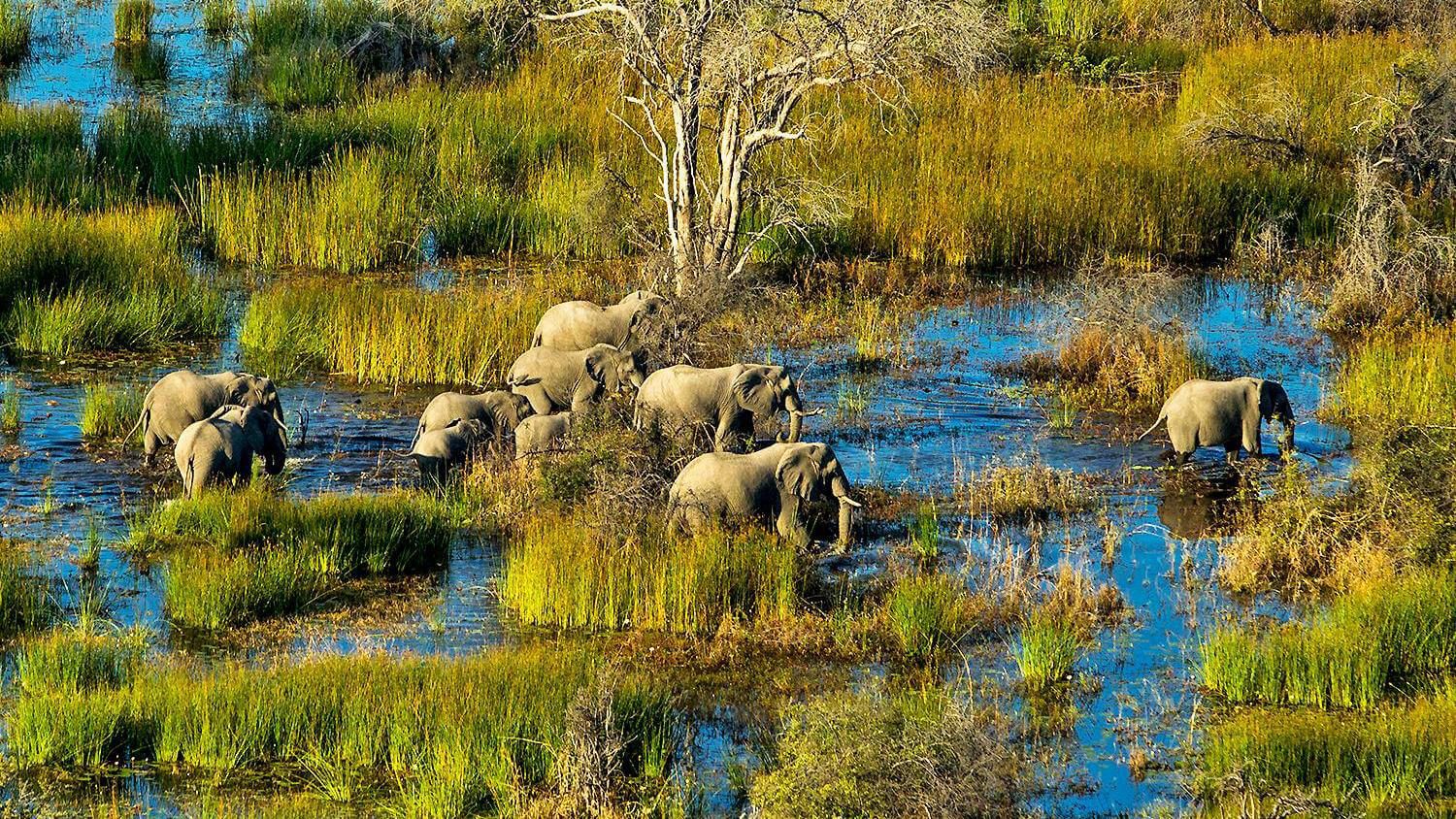 Okavango Delta Areal View Botswana - eXplore Plus Travel and Tours