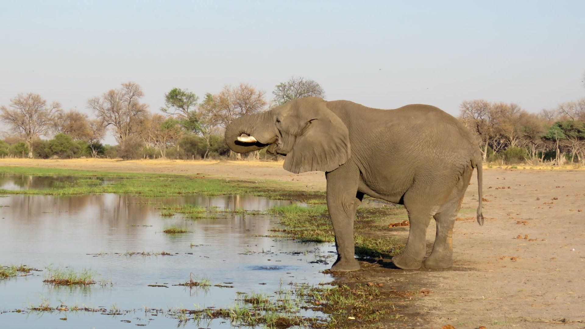 Khwai Conservation Area Botswana - eXplore Plus Travel and Tours
