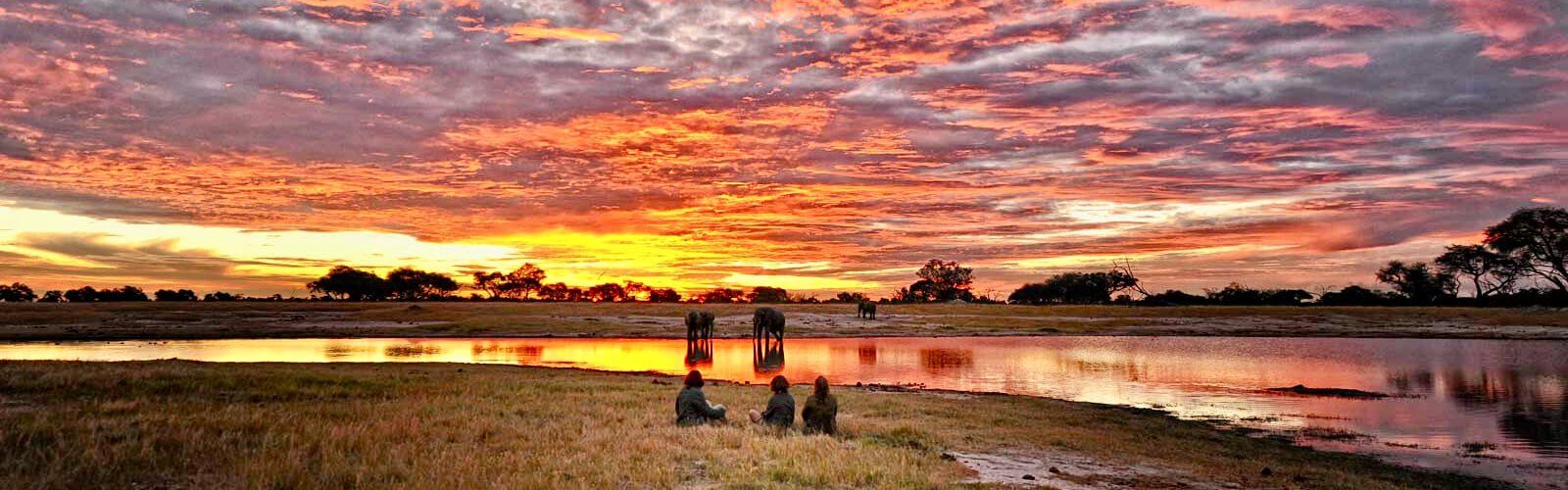 Best time to go on safari in Africa