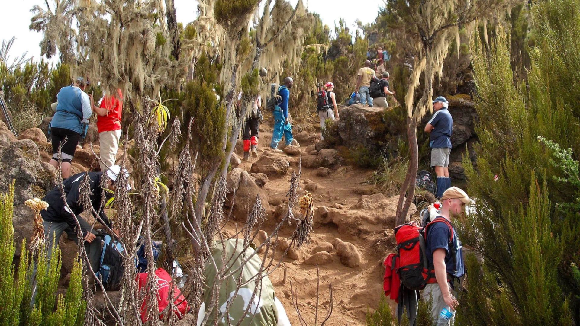 Day 2 Steep Climbs Kilimanjaro - eXplore Plus Travel and Tours