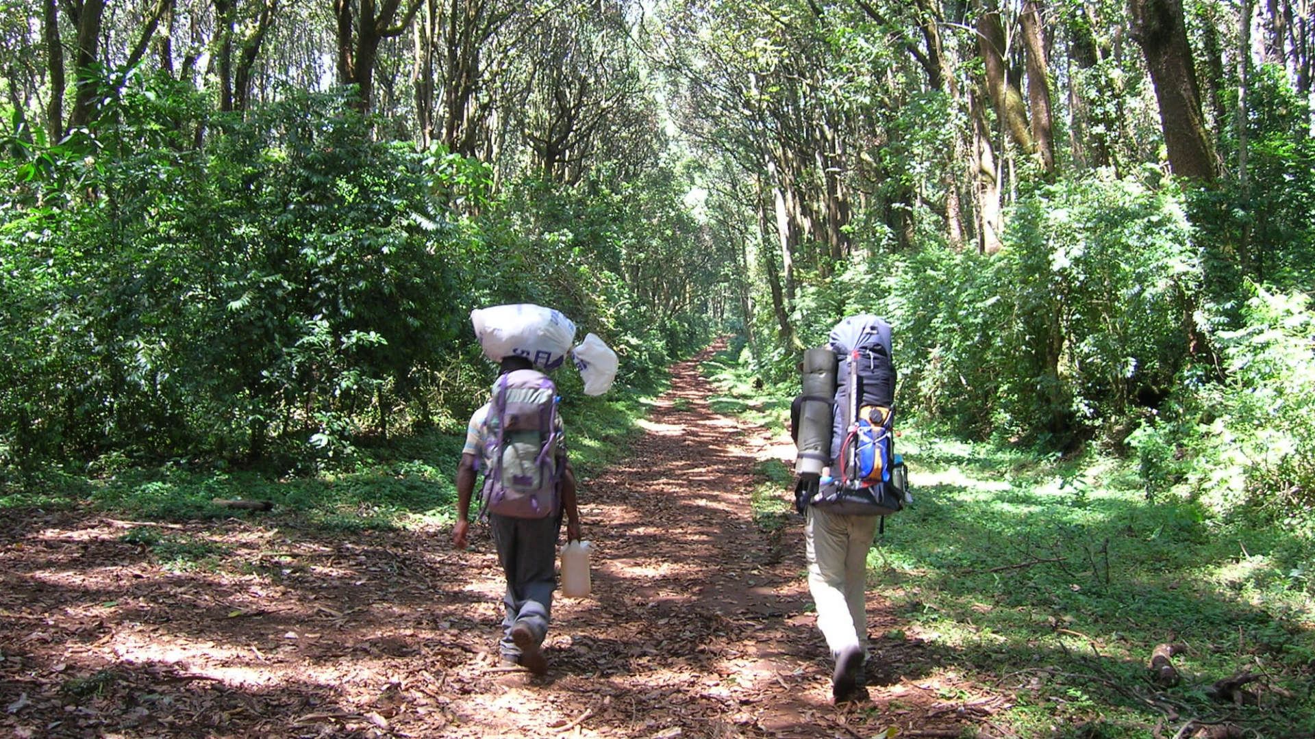 Umbwe Rain Forest Day 1 Kilimanjaro - eXplore Plus Travel and Tours