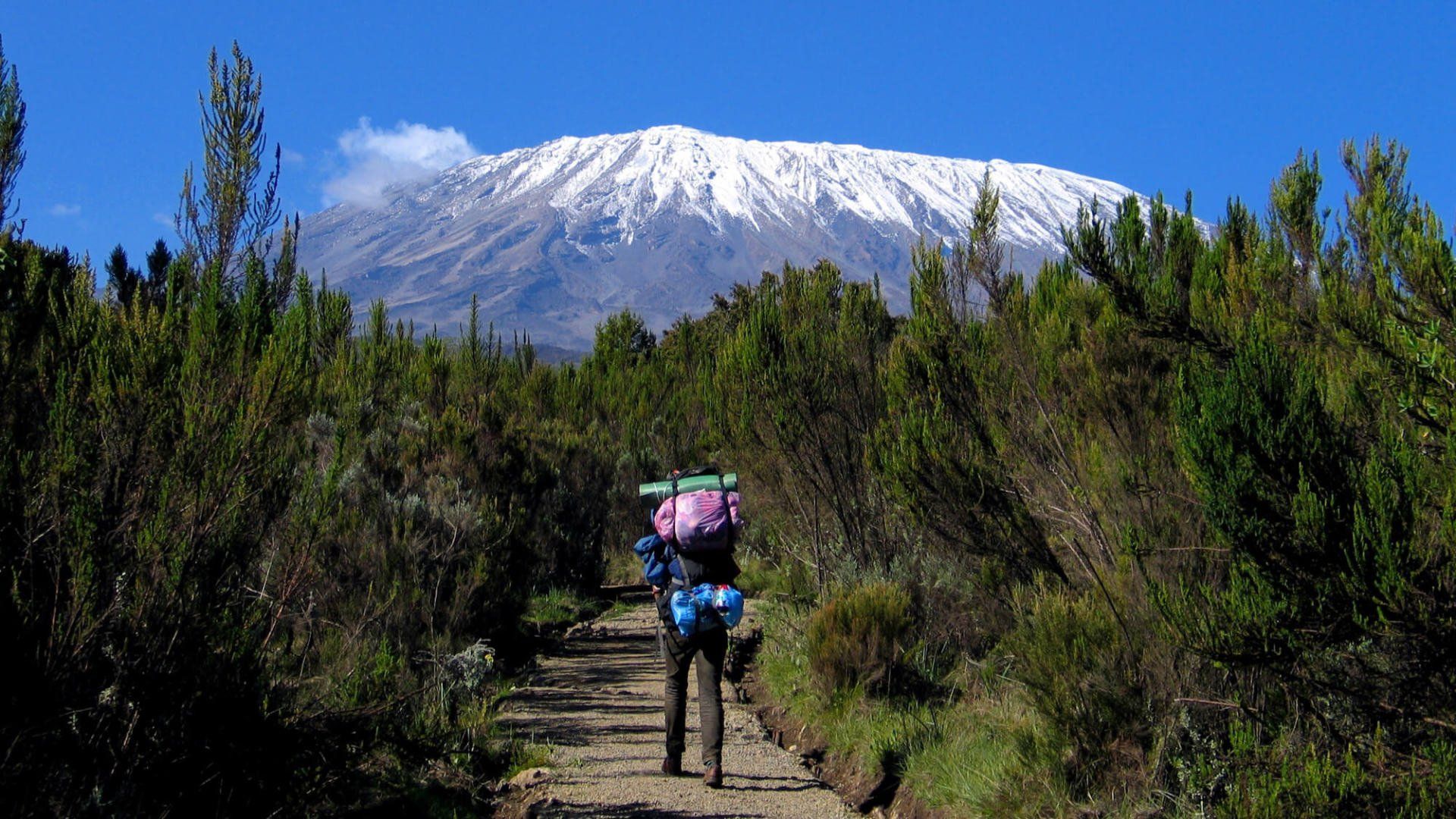 Day 1 - Pine Forest Kilimanjaro - eXplore Plus Travel and Tours