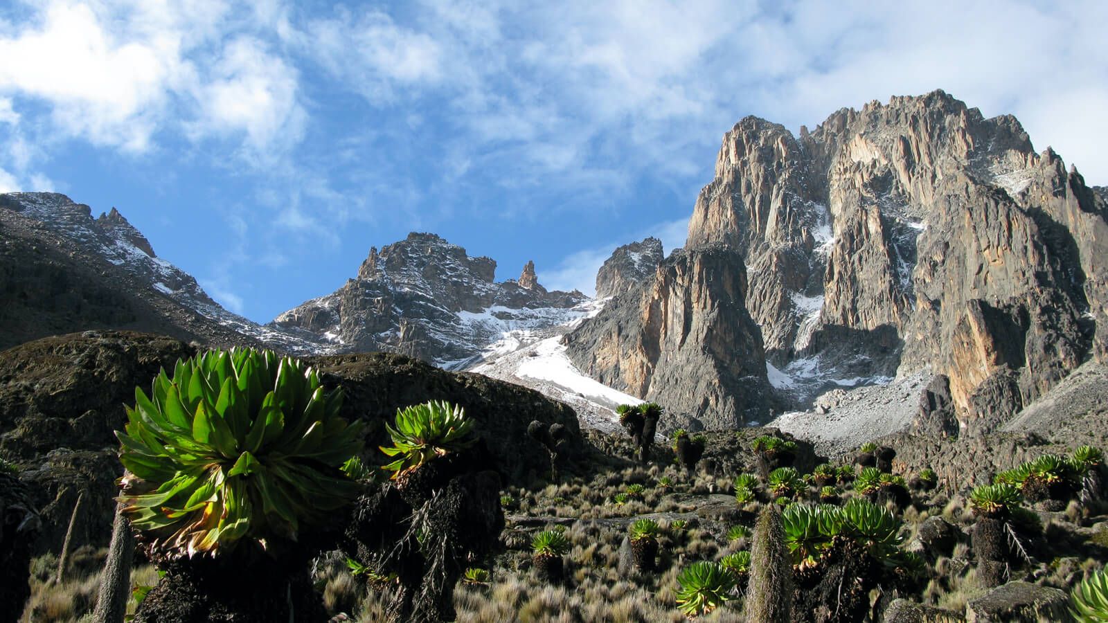 Mount Kenya Climbing Expeditions And Tours Explore Plus