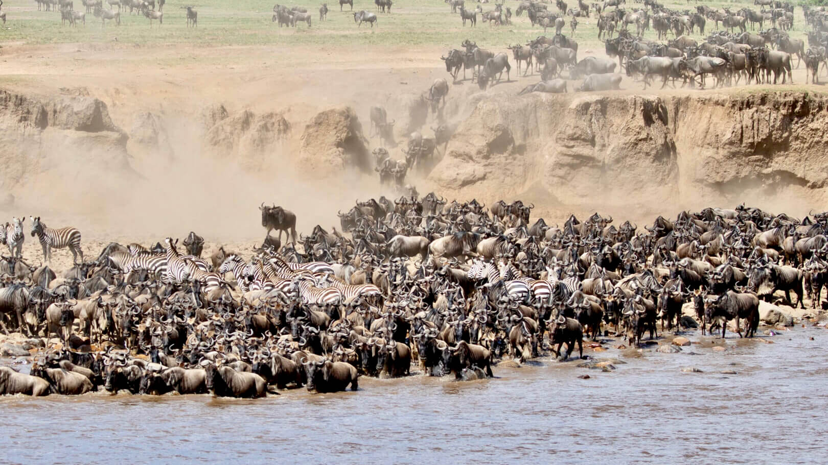 Wildebeest Migration Safari Kenya Travel and Tours