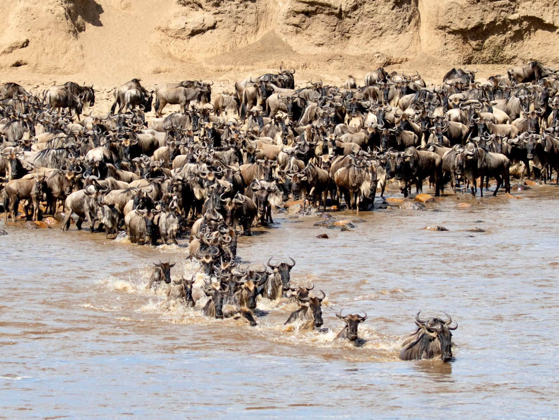 Best time to visit Kenya and Tanzania