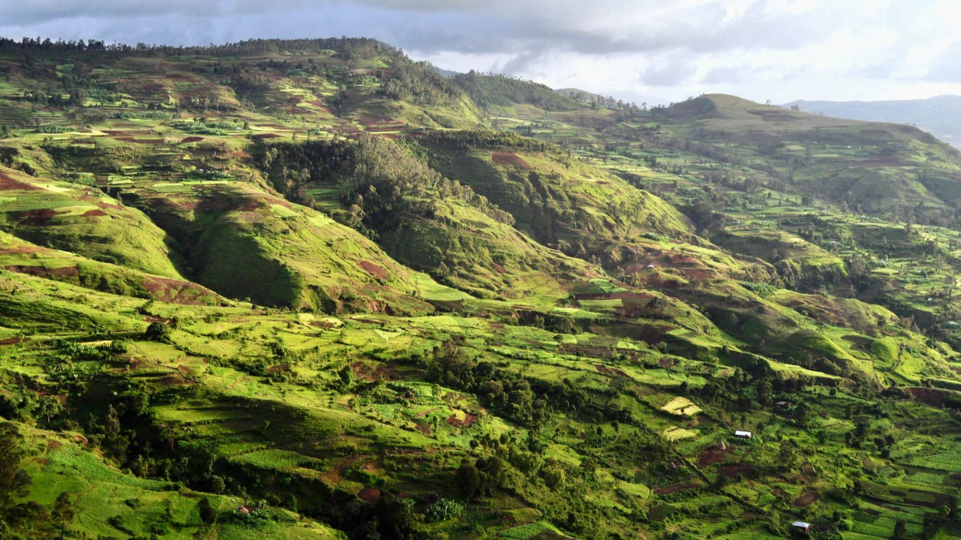 Rwanda Coutry Side - eXplore Plus Travel and Tours