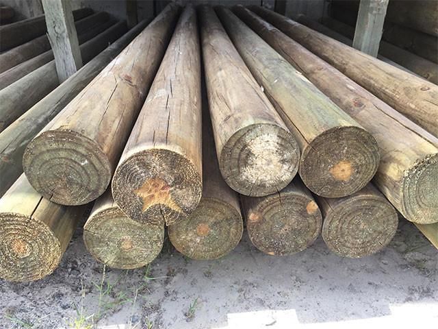 CAA-treated pine logs