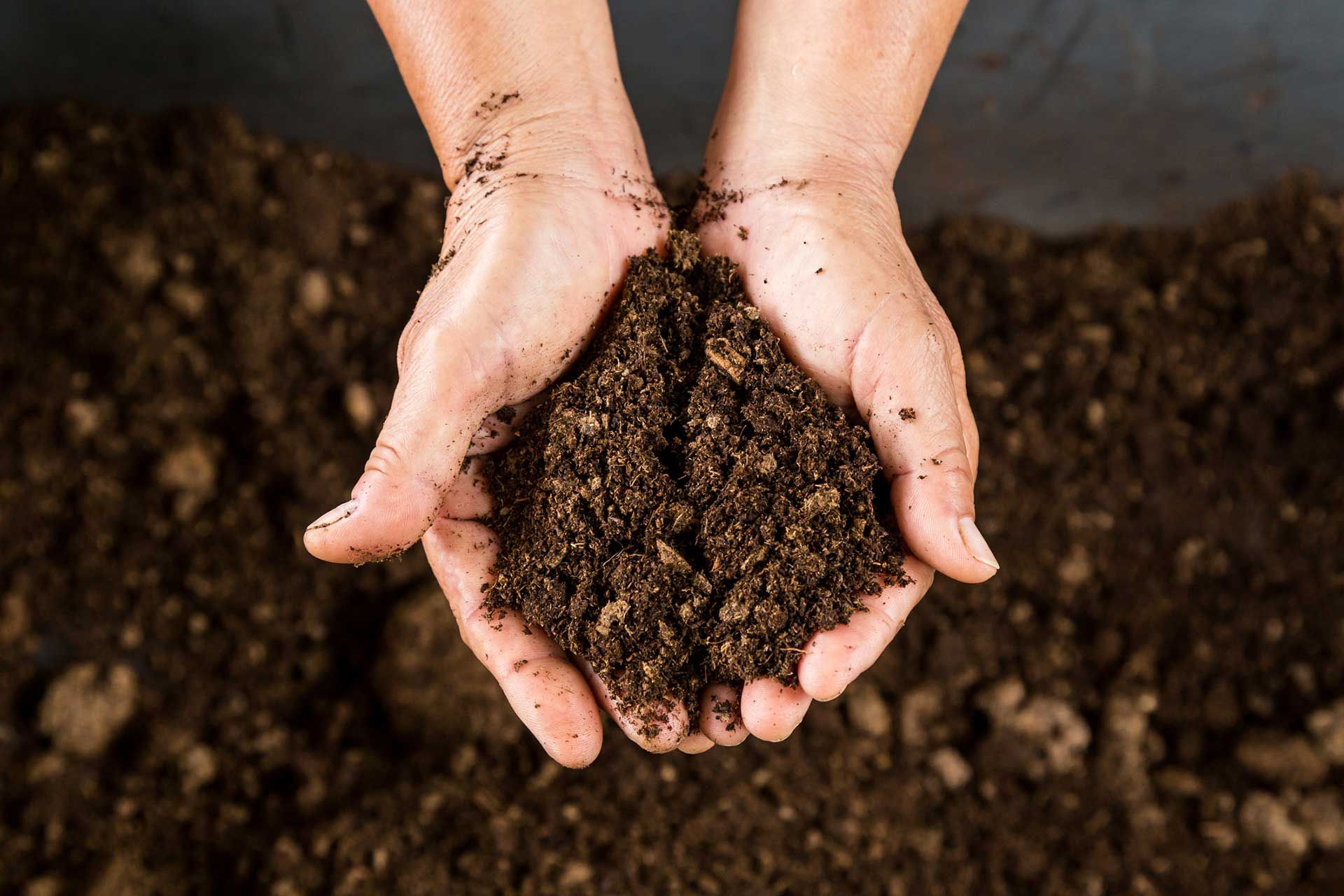 Organic Garden Blends and Organic Soils
