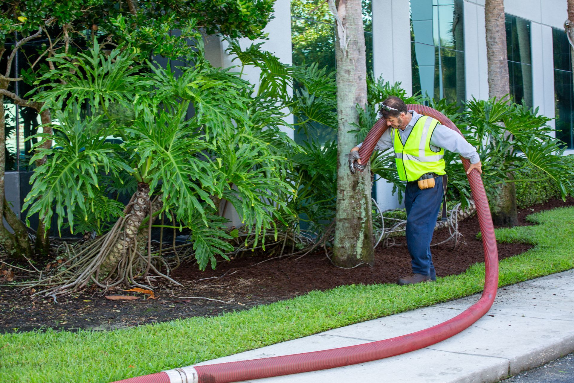 A man is standing next to a tree with a red hose.
