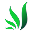 A green leaf with a shadow on a white background the Logo of Romaga Landscaping
