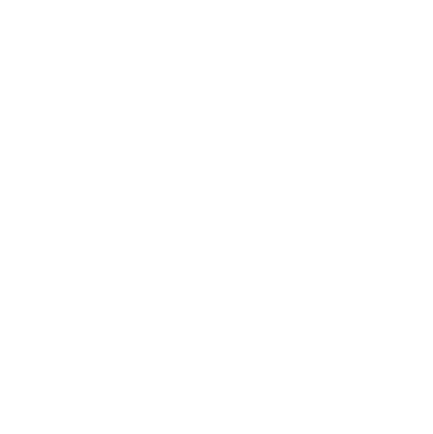 Icon Salzburg