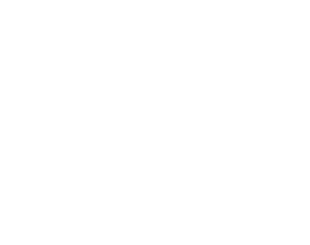 C-Appeal Exterior Design