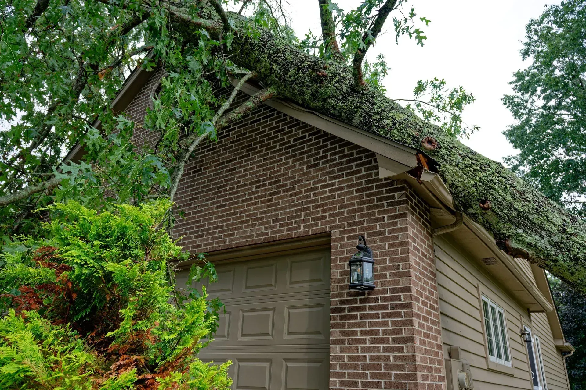 Get roofing repairs in Stockton MO with Knoll Roofing