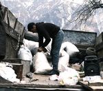 junk removal
