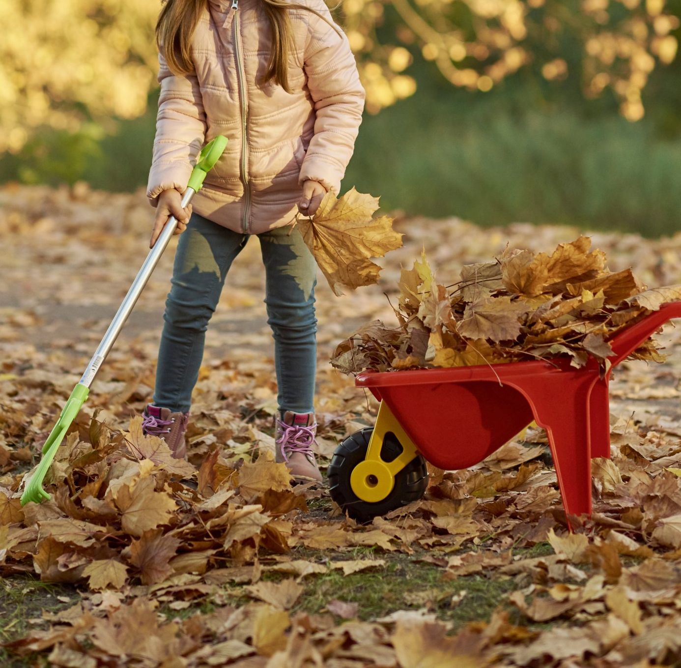 yard waste dumpster rental